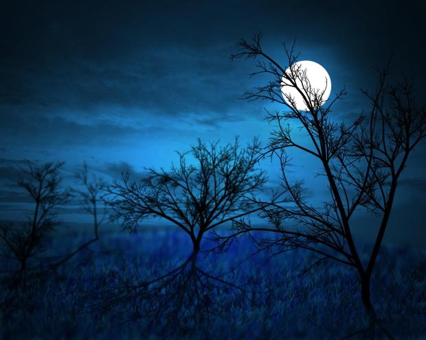 full_moon_____midnight_forest_by_gothrix